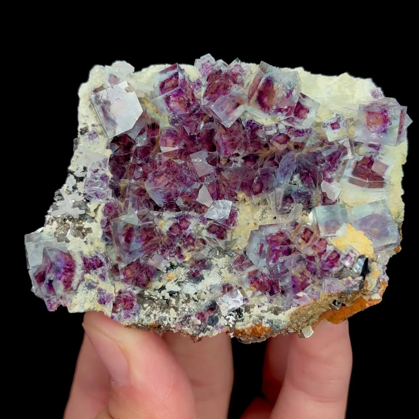 specimen video