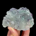 specimen video