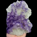 specimen video