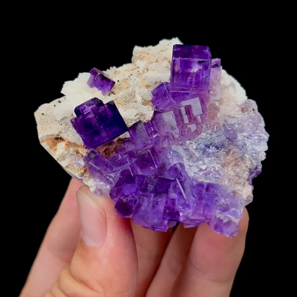 specimen video
