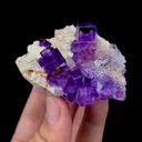 Natural Purple Phantom Fluorite Mineral Specimen,High Quality Specimen,NORTHWEST CHINA(60*50*30mm) - image 4