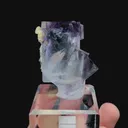 specimen video
