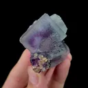 Natural Purple Phantom Fluorite Mineral Specimen,High Quality Specimen,YAO GANG XIAN,HUNAN,CHINA(40*40*40mm) - image 4