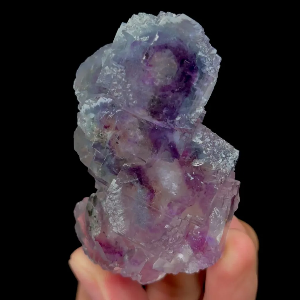 specimen video