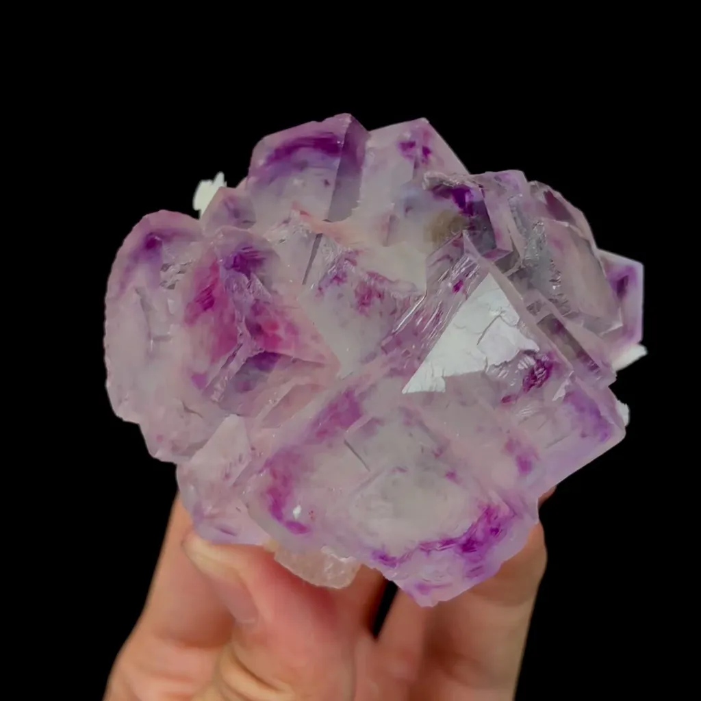 specimen video