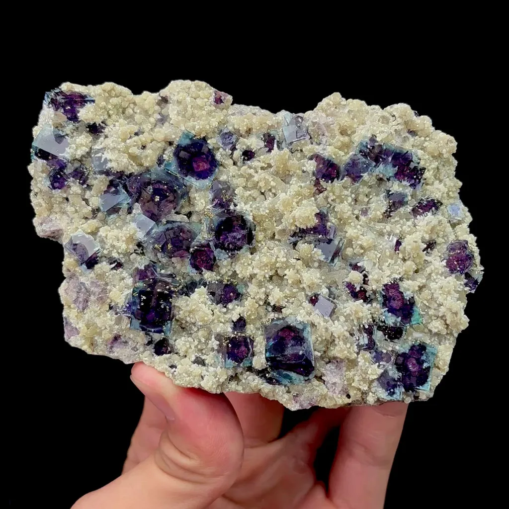 specimen video