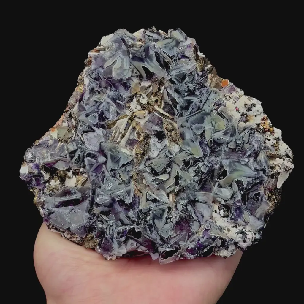 specimen video