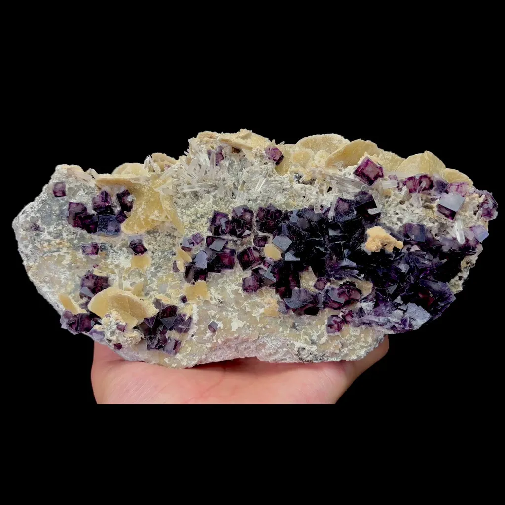 specimen video