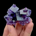 Natural Purple Phantom Fluorite Mineral Specimen,High Quality Specimen,YINDU,INNER MONGOLIA,CHINA(39*45*19mm) - image 3