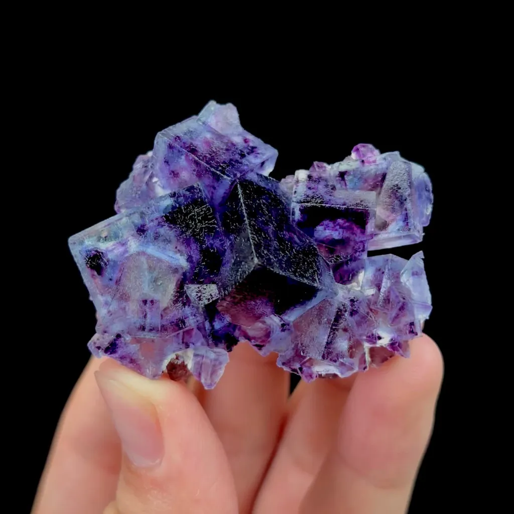 specimen video