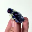 specimen video