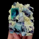 specimen video