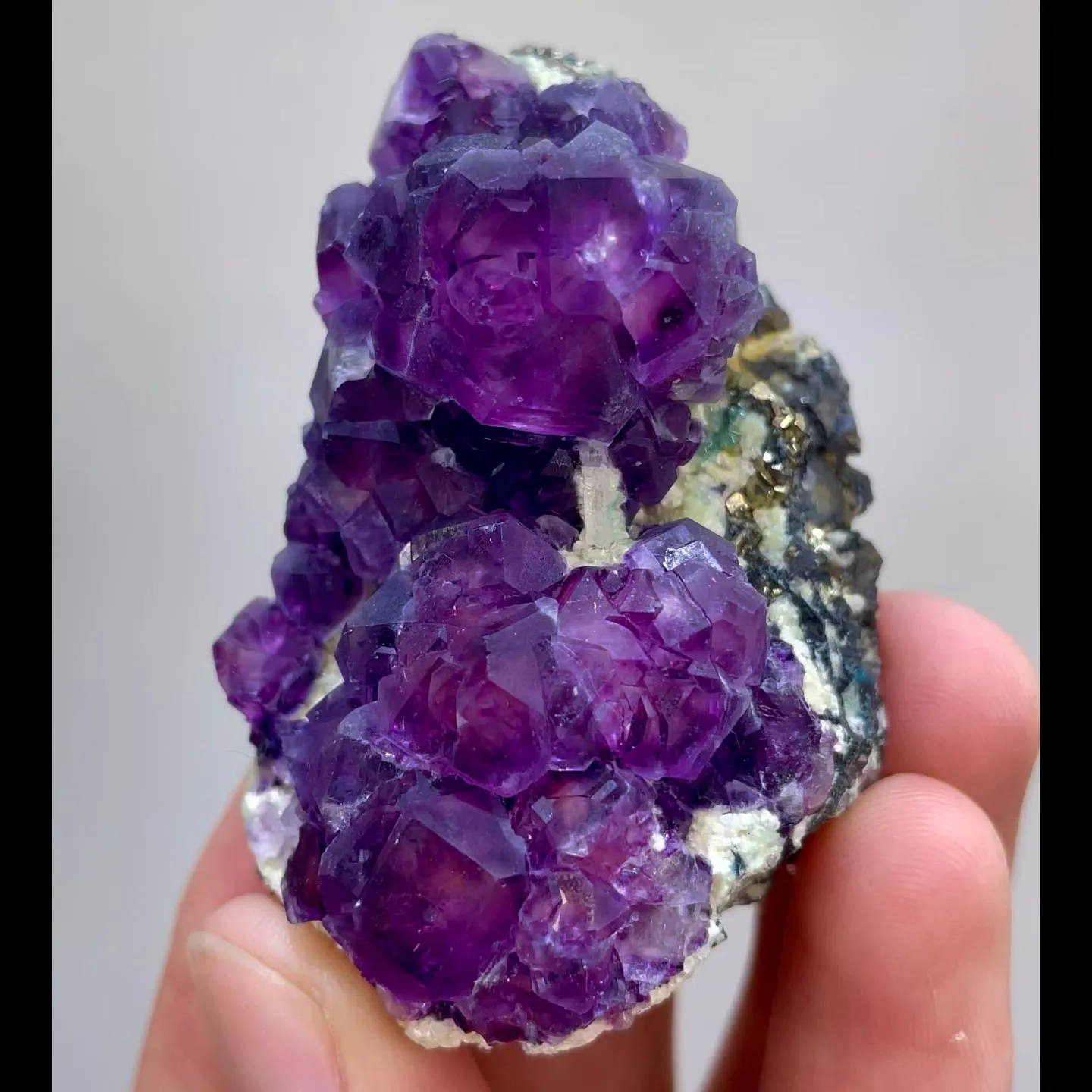 specimen video