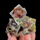 specimen video