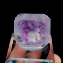 specimen video
