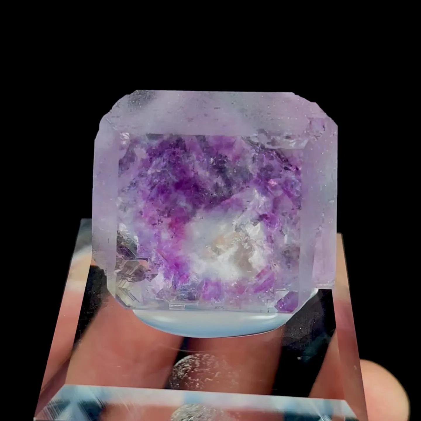 specimen video