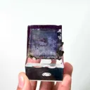 specimen video
