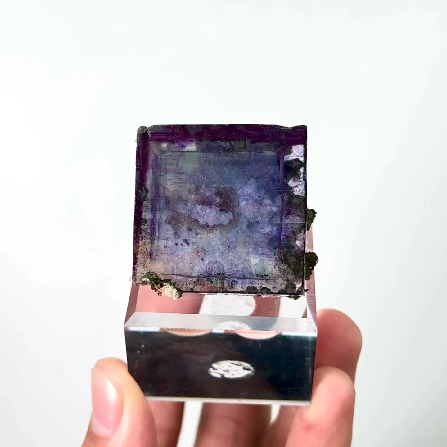 specimen video