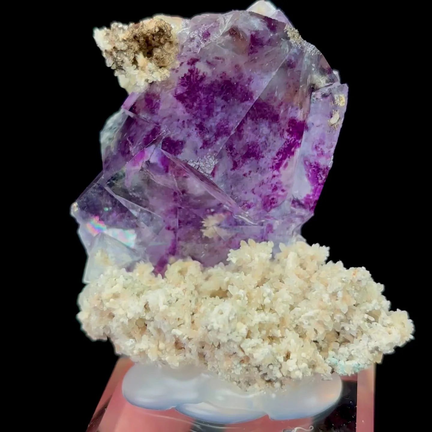 specimen video
