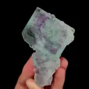 specimen video