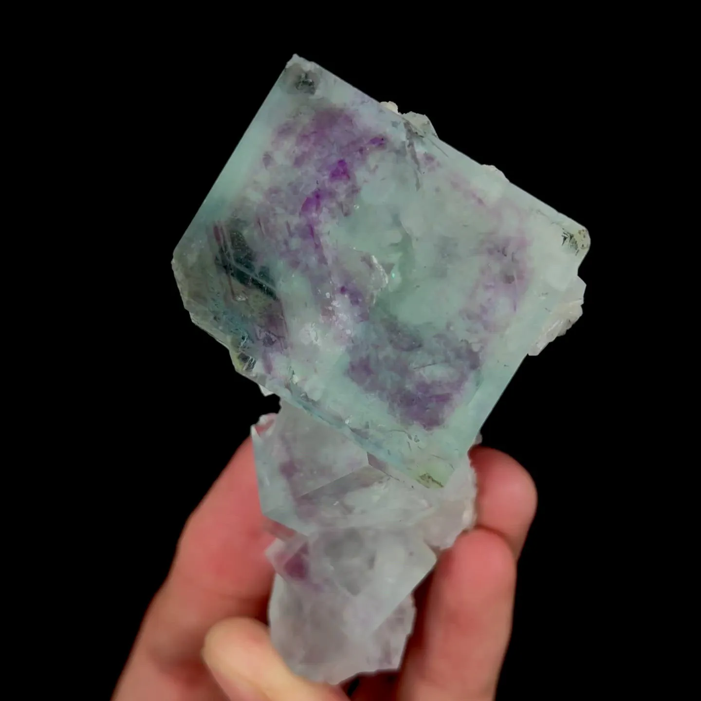 specimen video