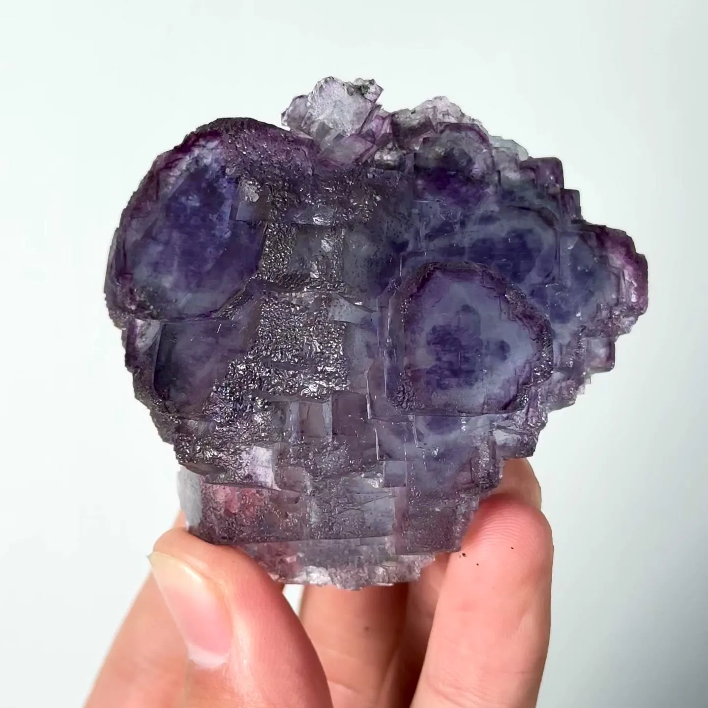 specimen video