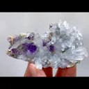 specimen video