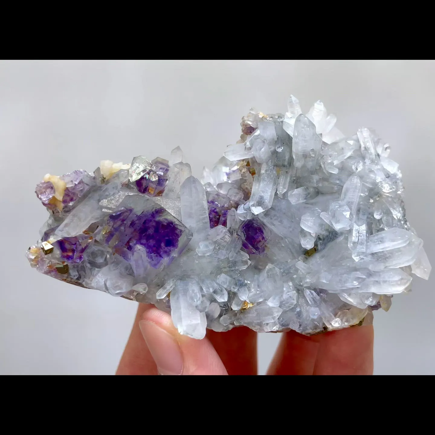 specimen video