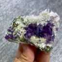 specimen video