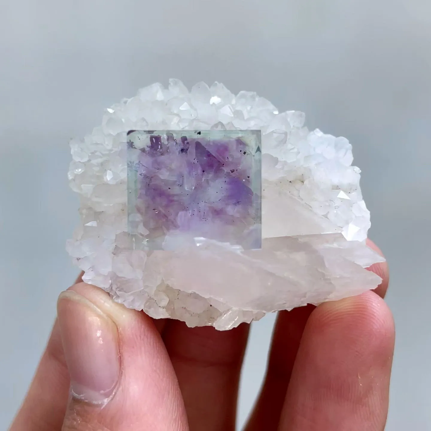specimen video