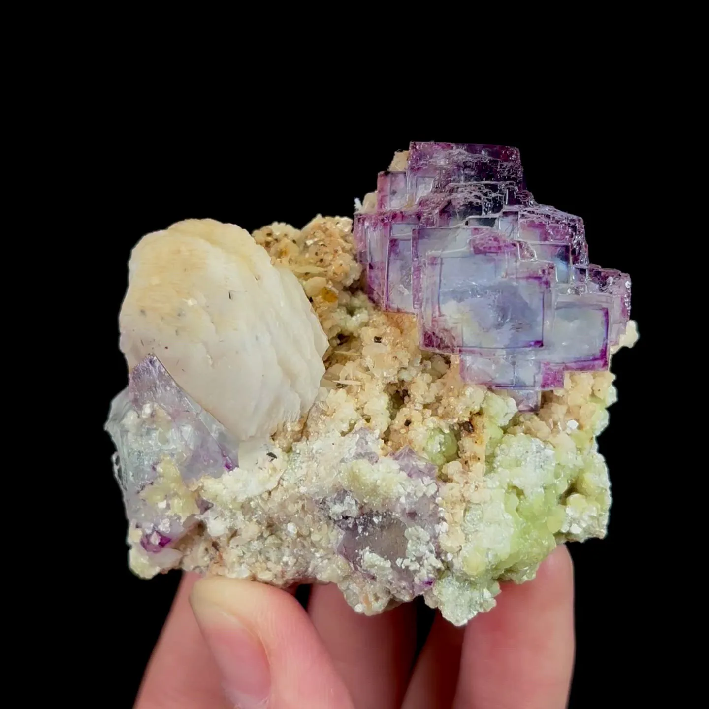 specimen video