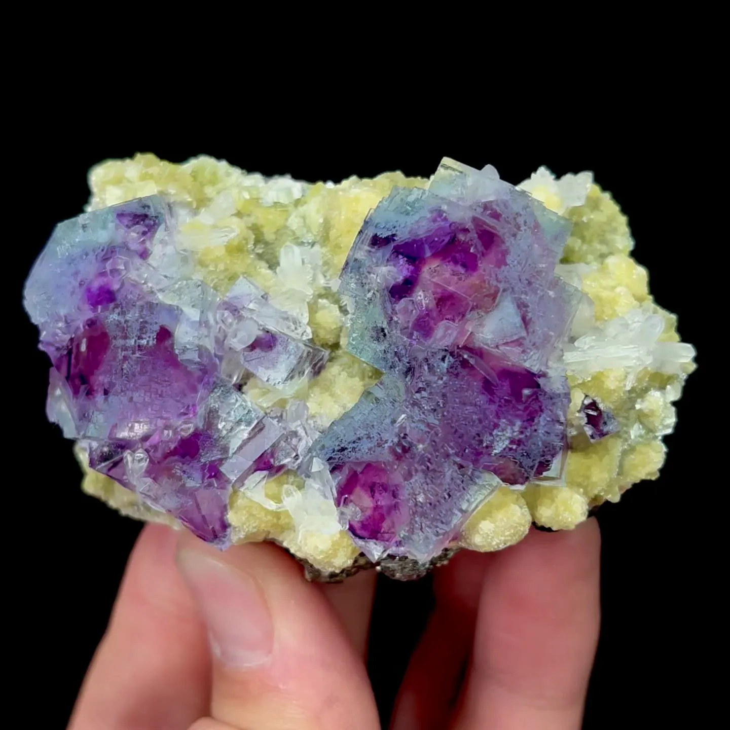 specimen video
