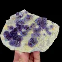 specimen video