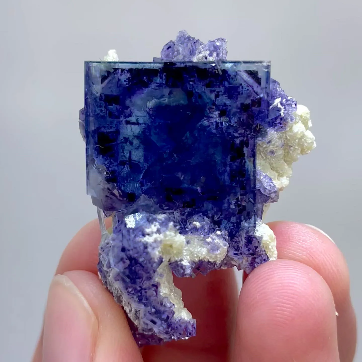specimen video