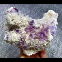 specimen video