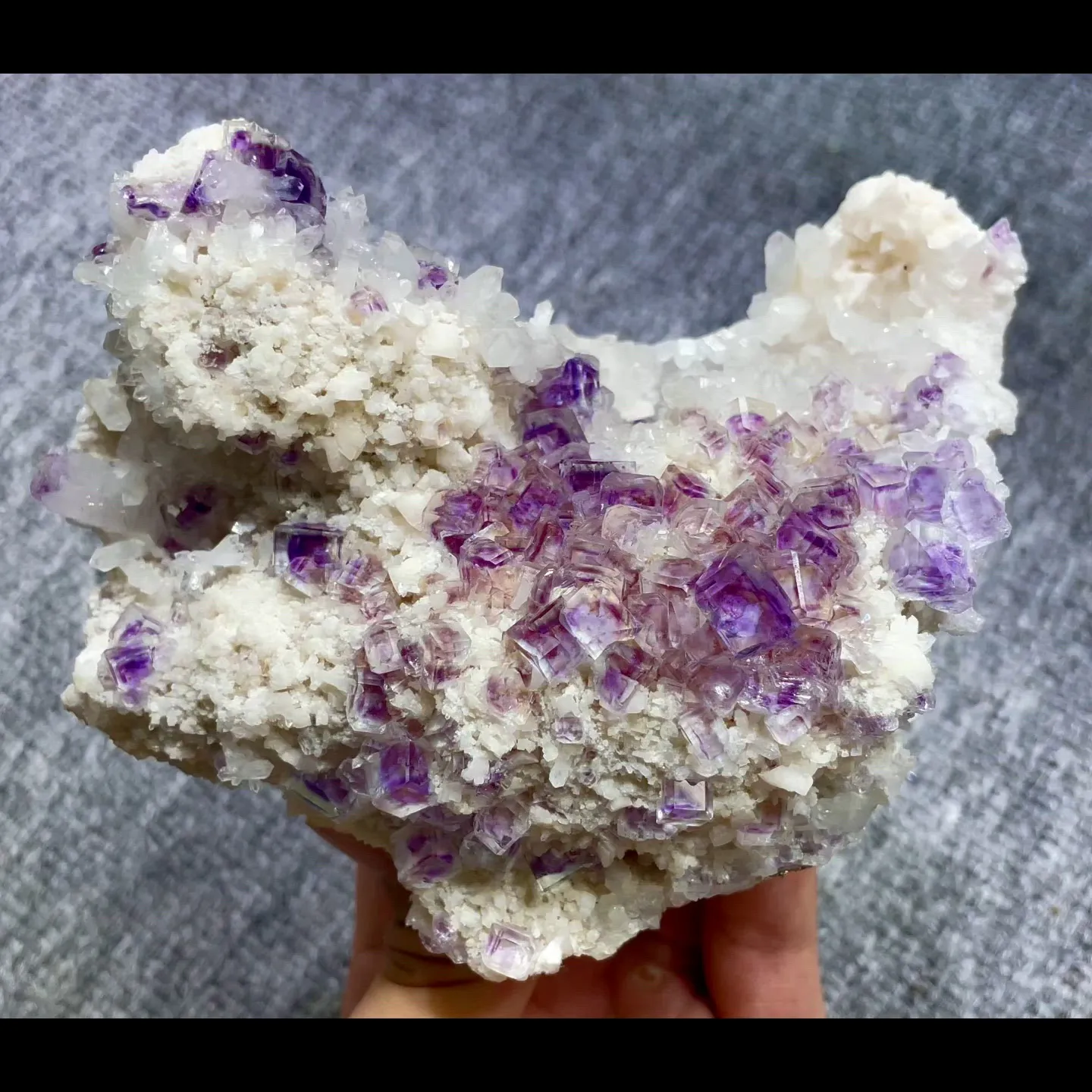 specimen video
