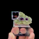 specimen video