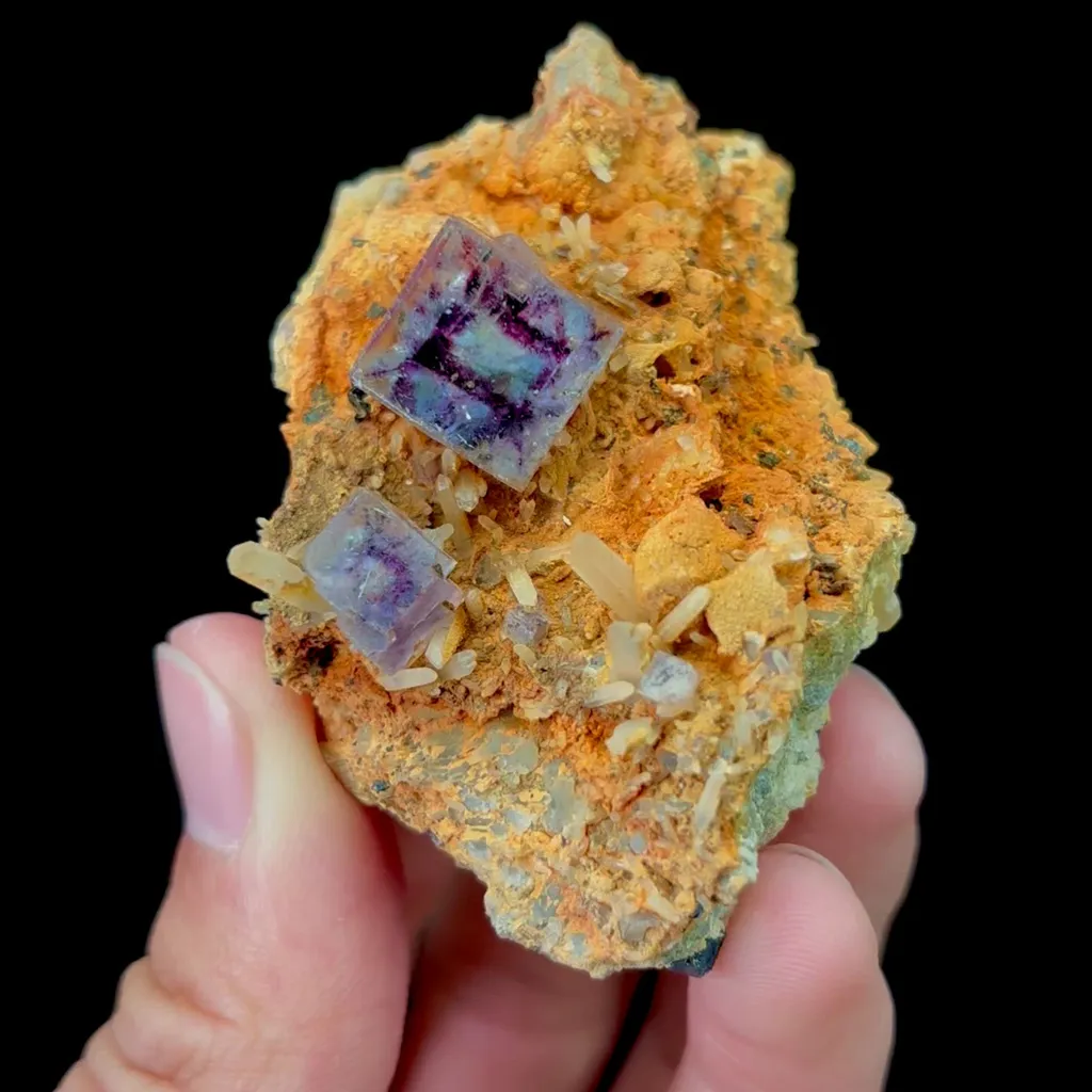 specimen video
