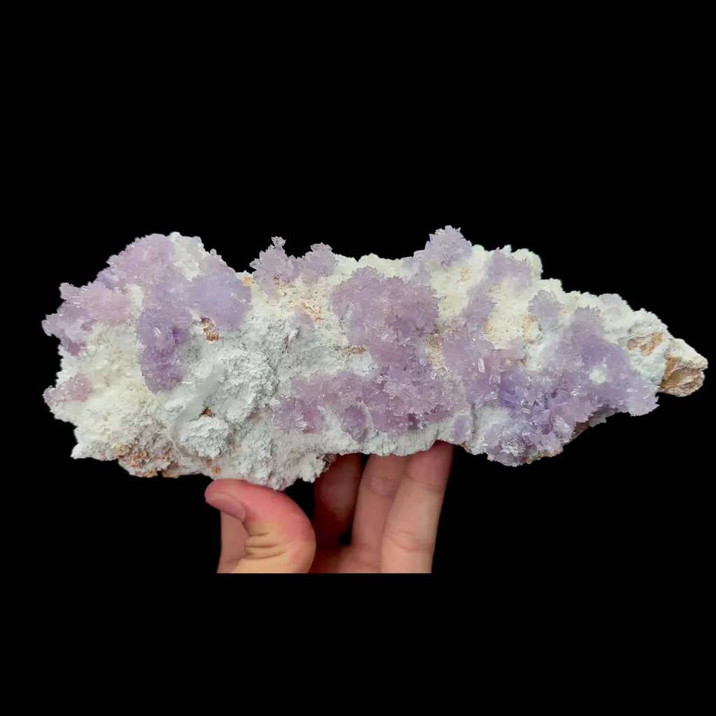 specimen video