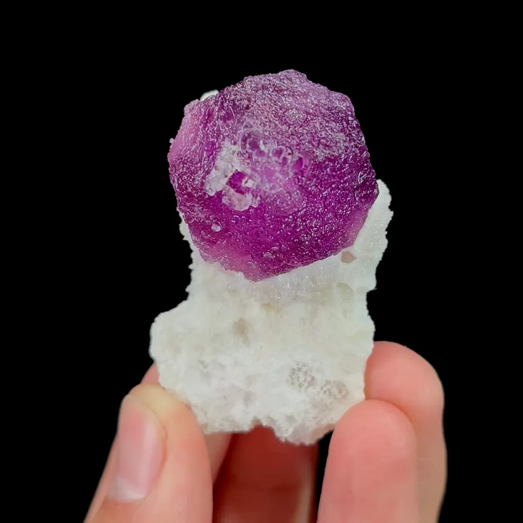 specimen video