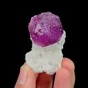 specimen video