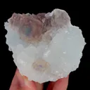 specimen video