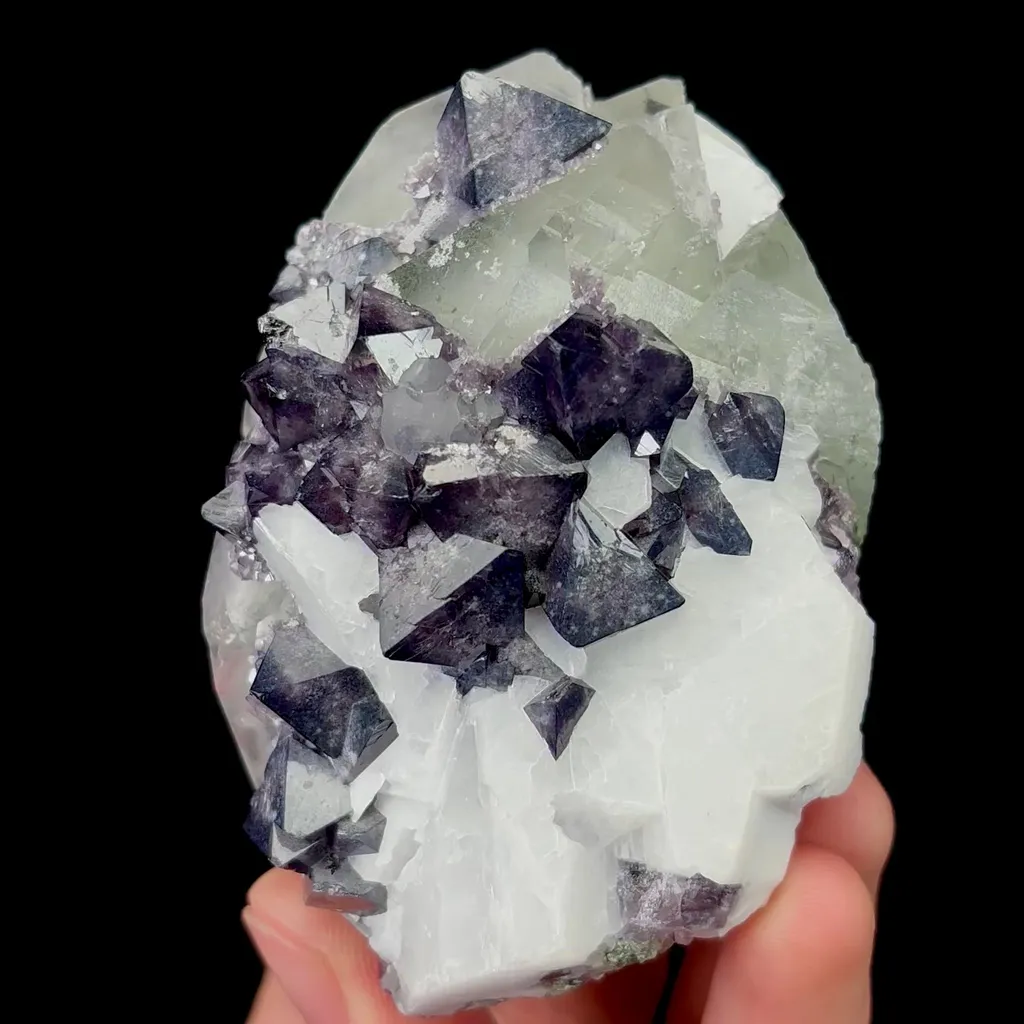 specimen video