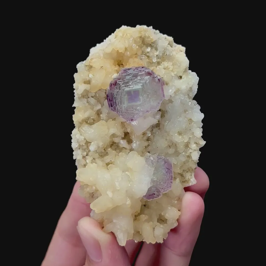 specimen video