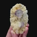 specimen video