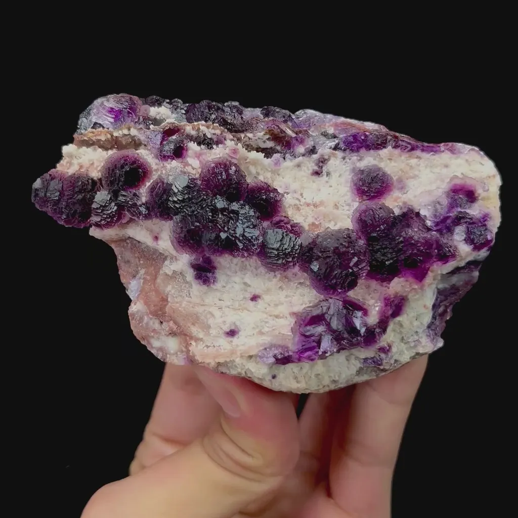 specimen video
