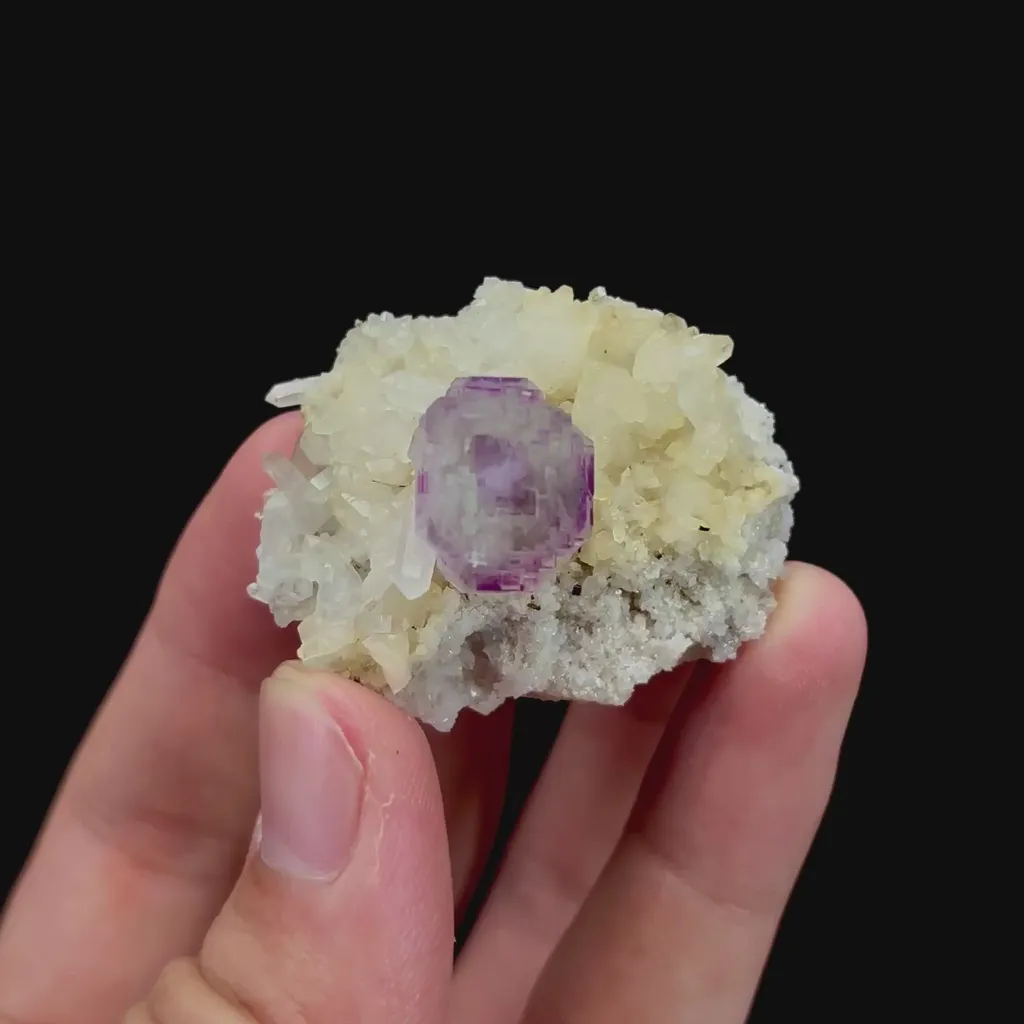 specimen video