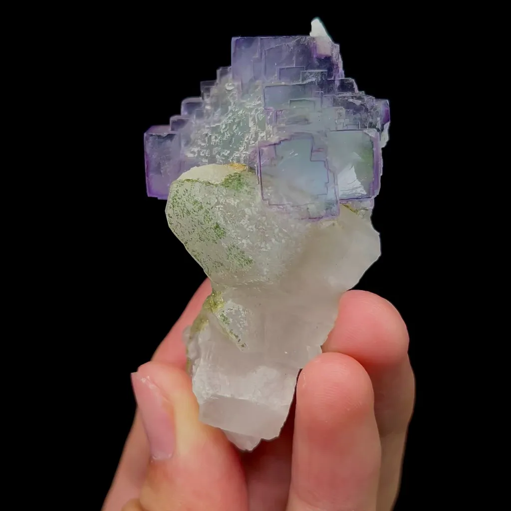 specimen video
