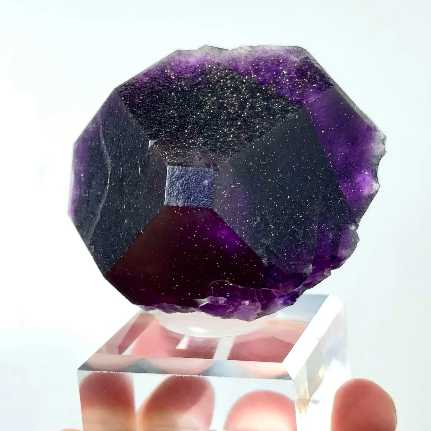 specimen video