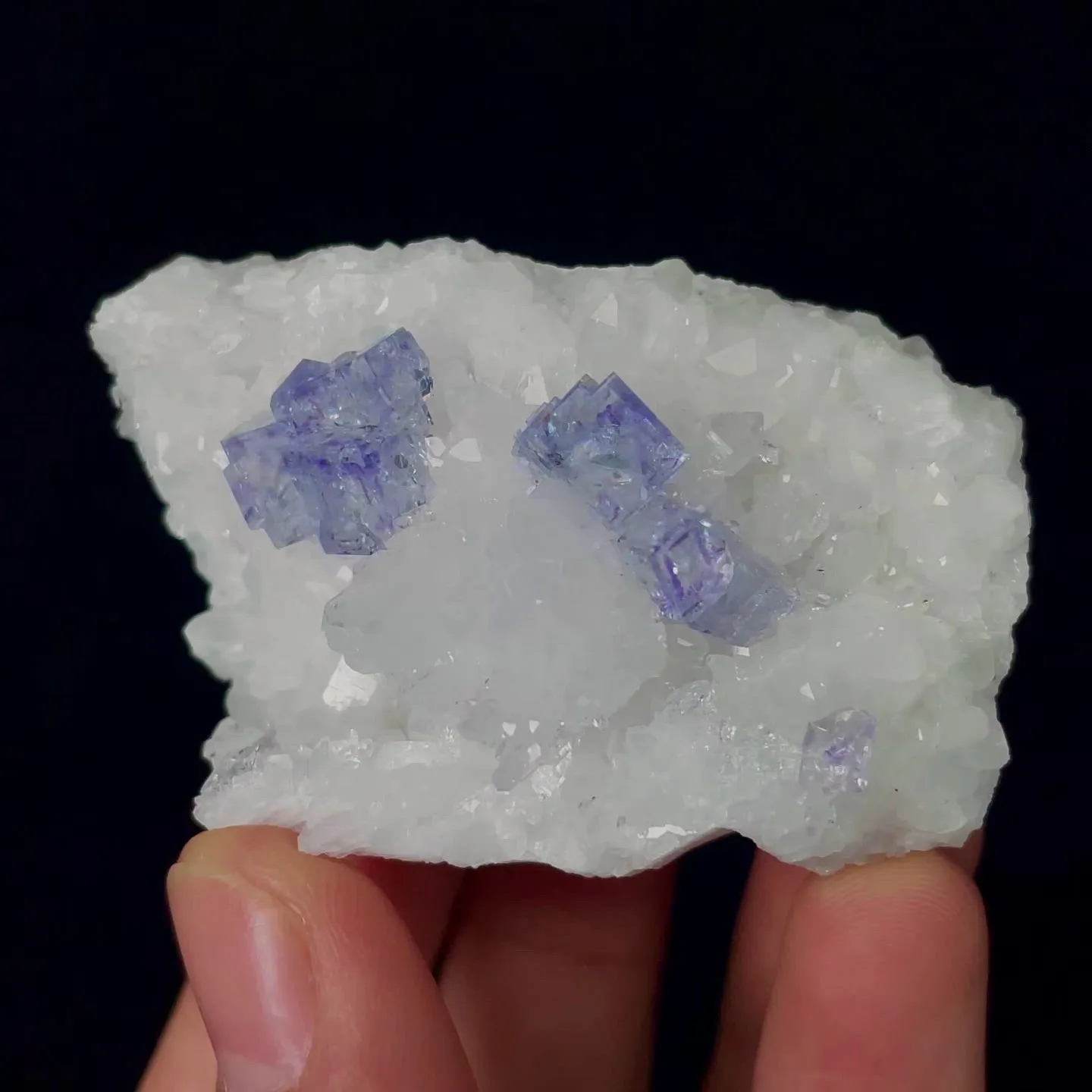specimen video